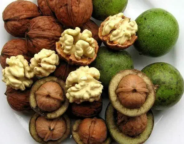 پنیرگاوی و پنیر کوزه ای|خوردنی و آشامیدنی|خرمدره, |دیوار