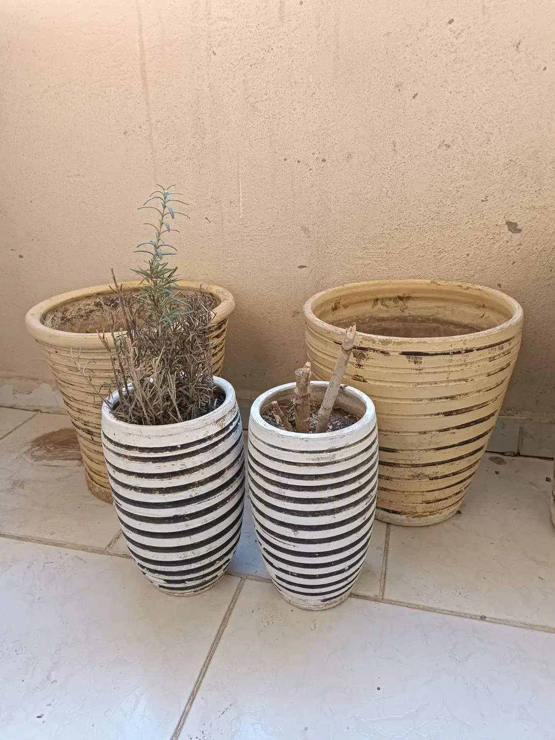 گلدان سفالی|صنایع دستی و سایر لوازم تزئینی|پرند, فاز ۵|دیوار