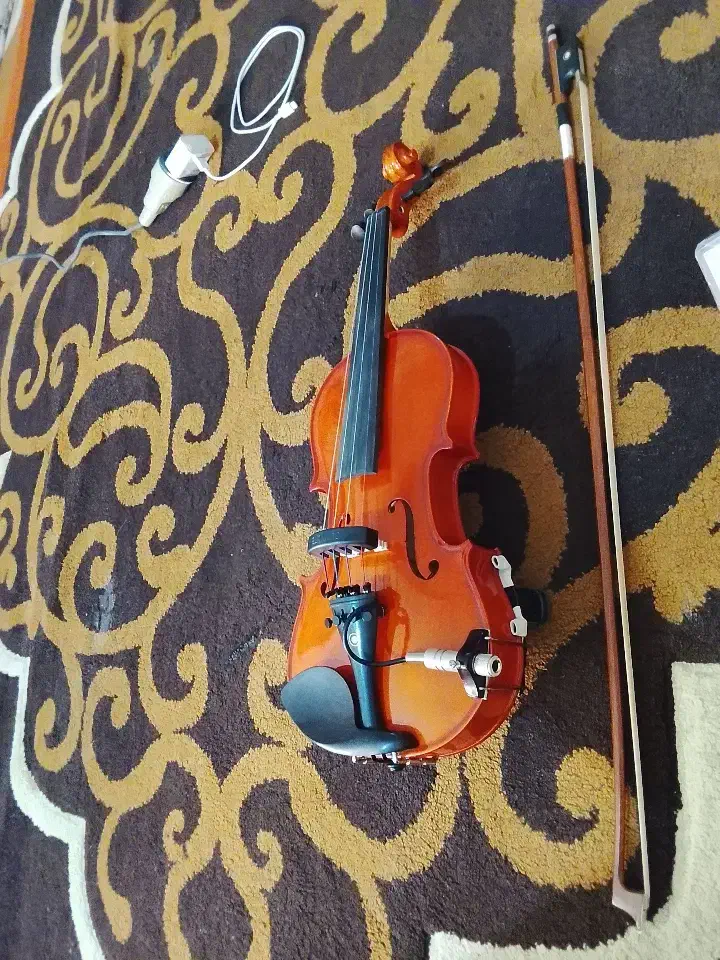 ویولن آماتی تمام آبنوس آکبند .|ویولن|بندر ماهشهر, |دیوار