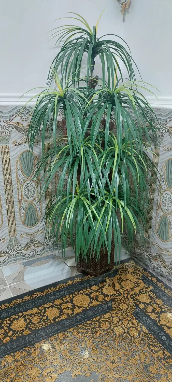 درختچه مصنوعی|گل مصنوعی|زاهدان, |دیوار