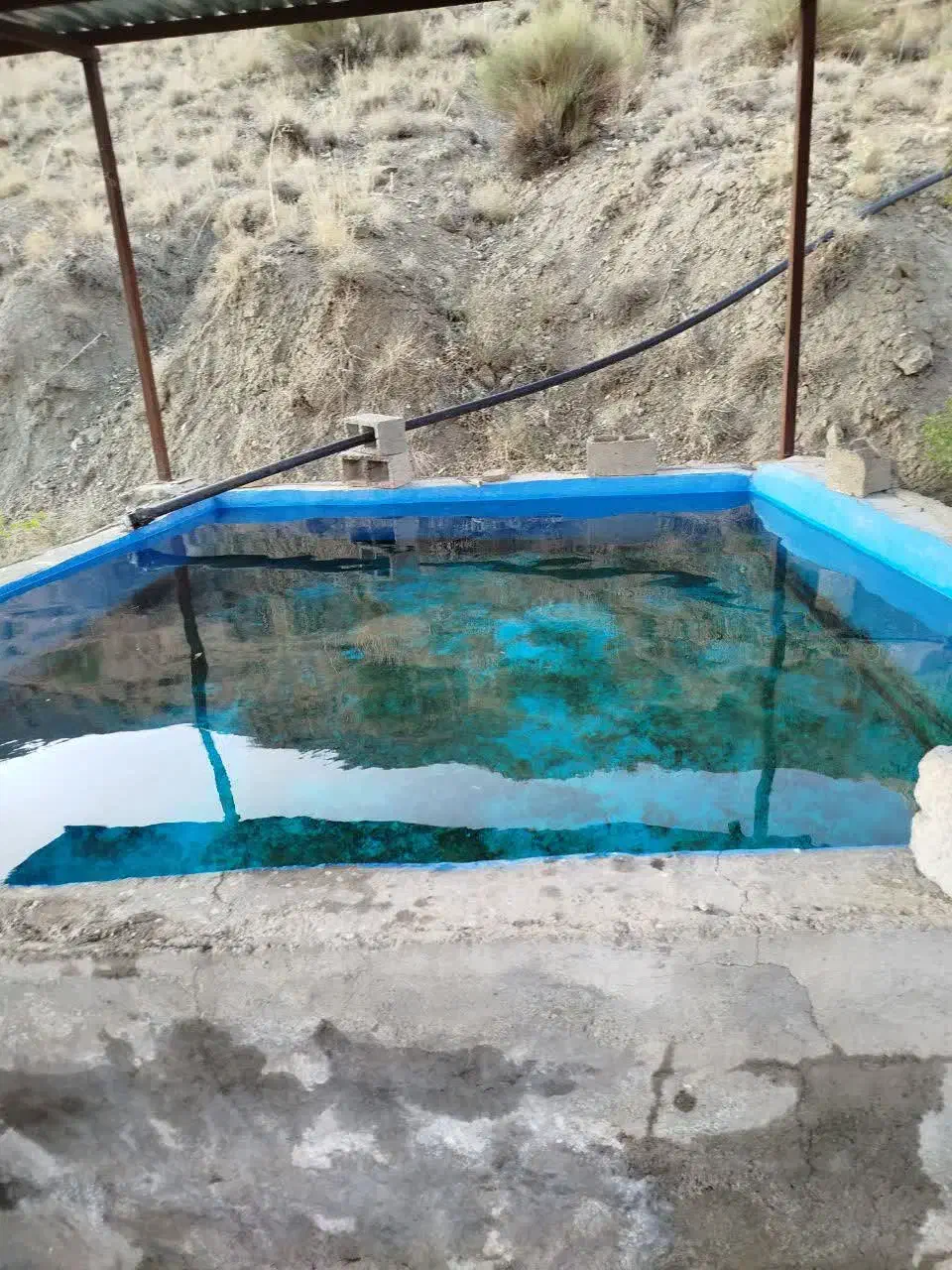 باغ بهدان 2500 متر فروش به دلیل مهاجرت|فروش زمین و ملک کلنگی|بیرجند, |دیوار