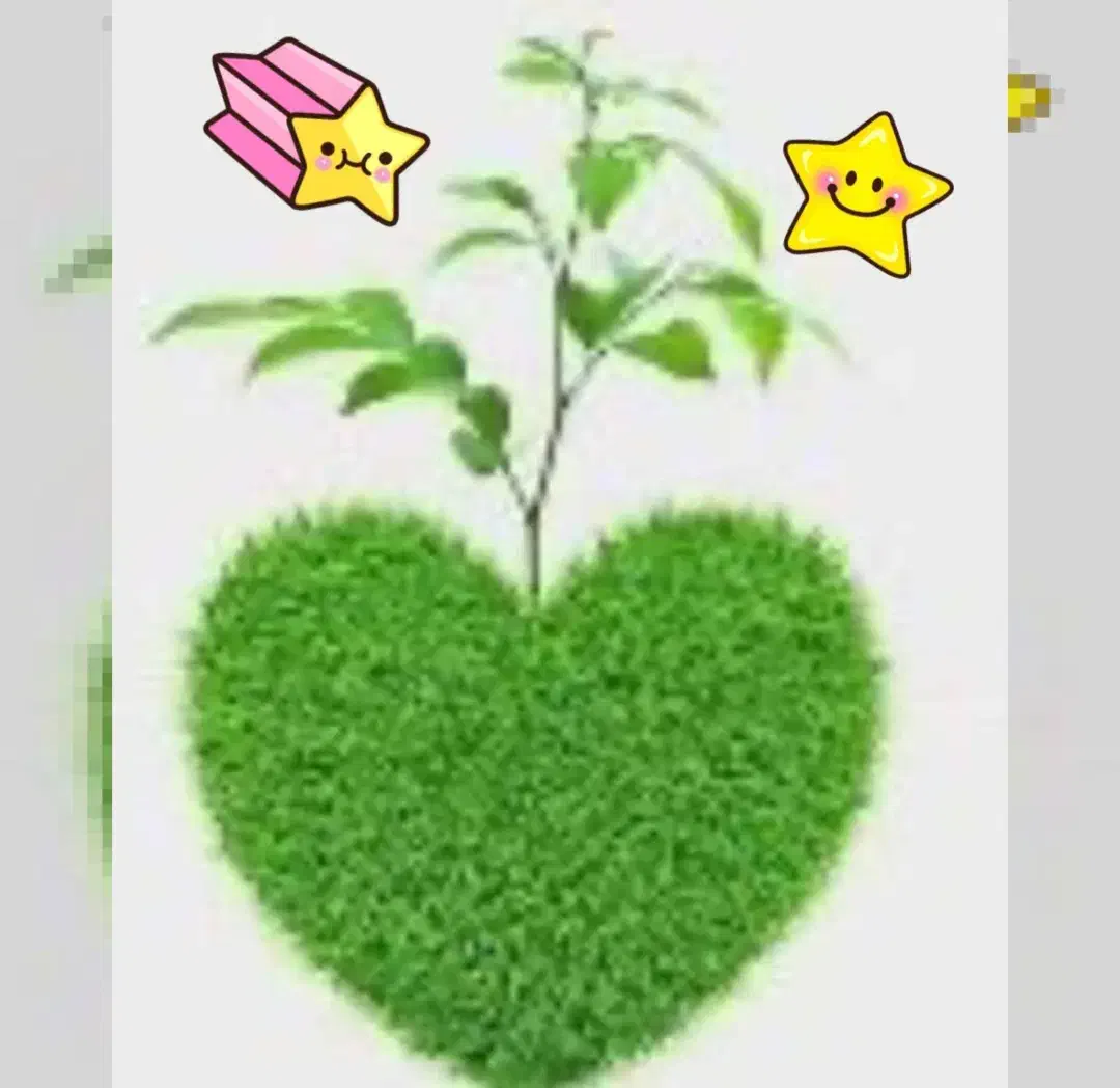 تدریس خصوصی پایه اول با متد جدید تضمینی|خدمات آموزشی|رشت, دروازه لاکان|دیوار