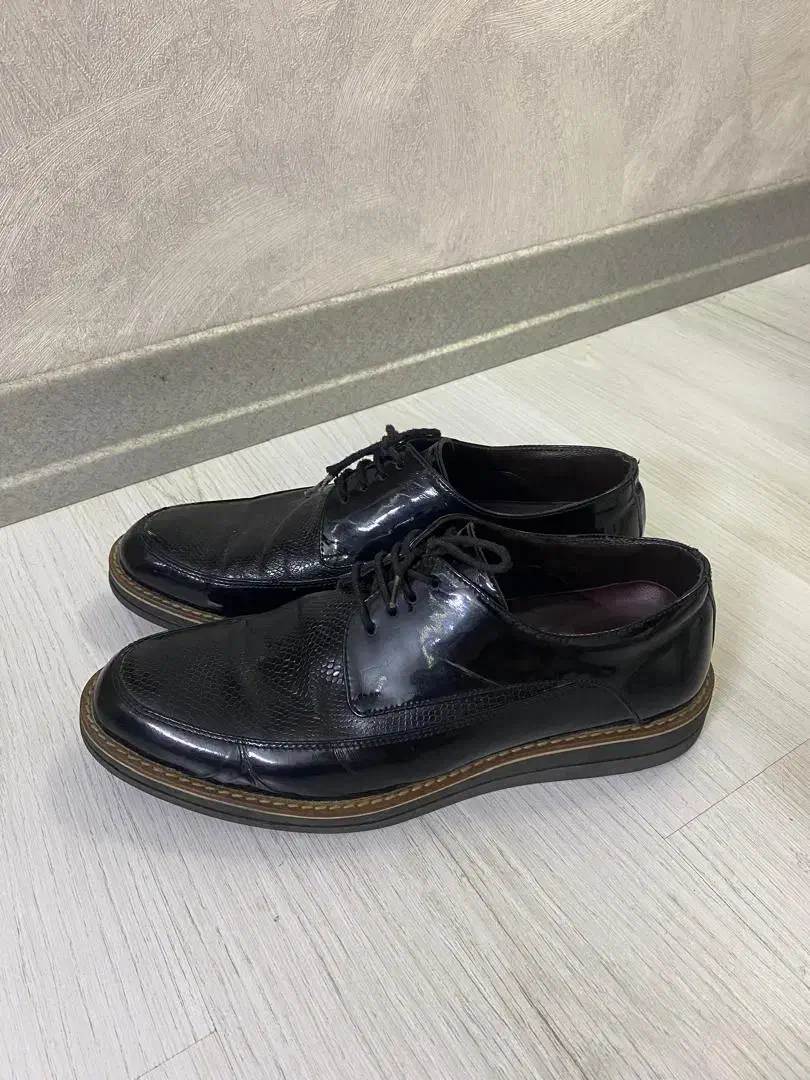 کفش مردانه ترک|کیف، کفش، کمربند|سمنان, |دیوار