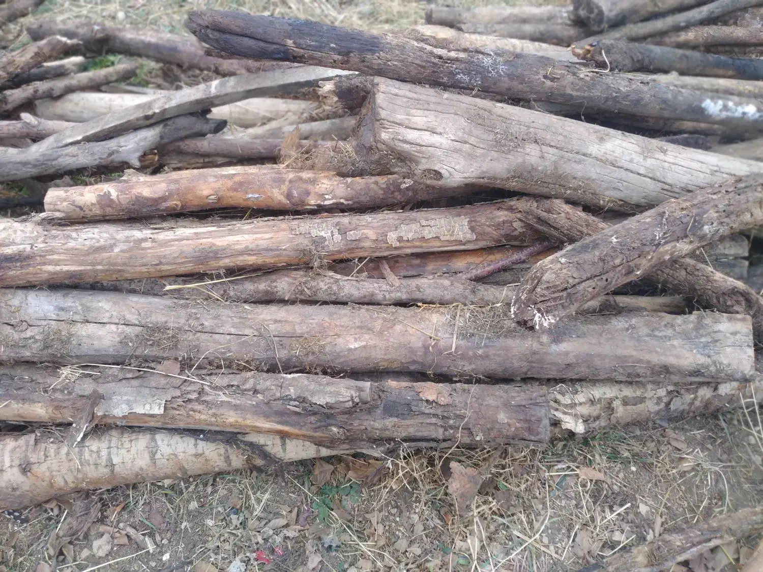 چوب برای زغال یا نئوپان|عمدهفروشی|خلخال, |دیوار