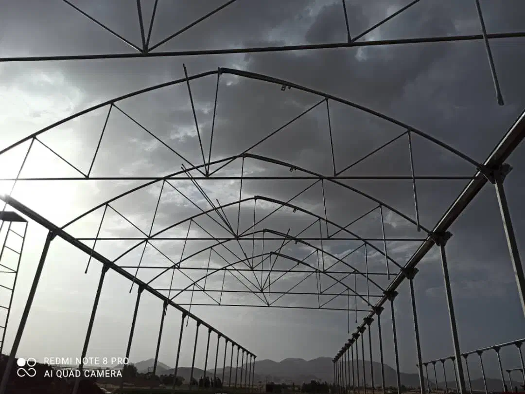 تعمیرات و نصب  گلخانه فلزی اسپانیایی و معمولی|خدمات پیشه و مهارت|نجف‌آباد, حومه نجف آباد|دیوار