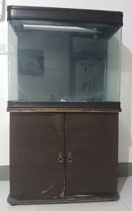 آکواریوم همراه با میز|ماهی|زاهدان, |دیوار