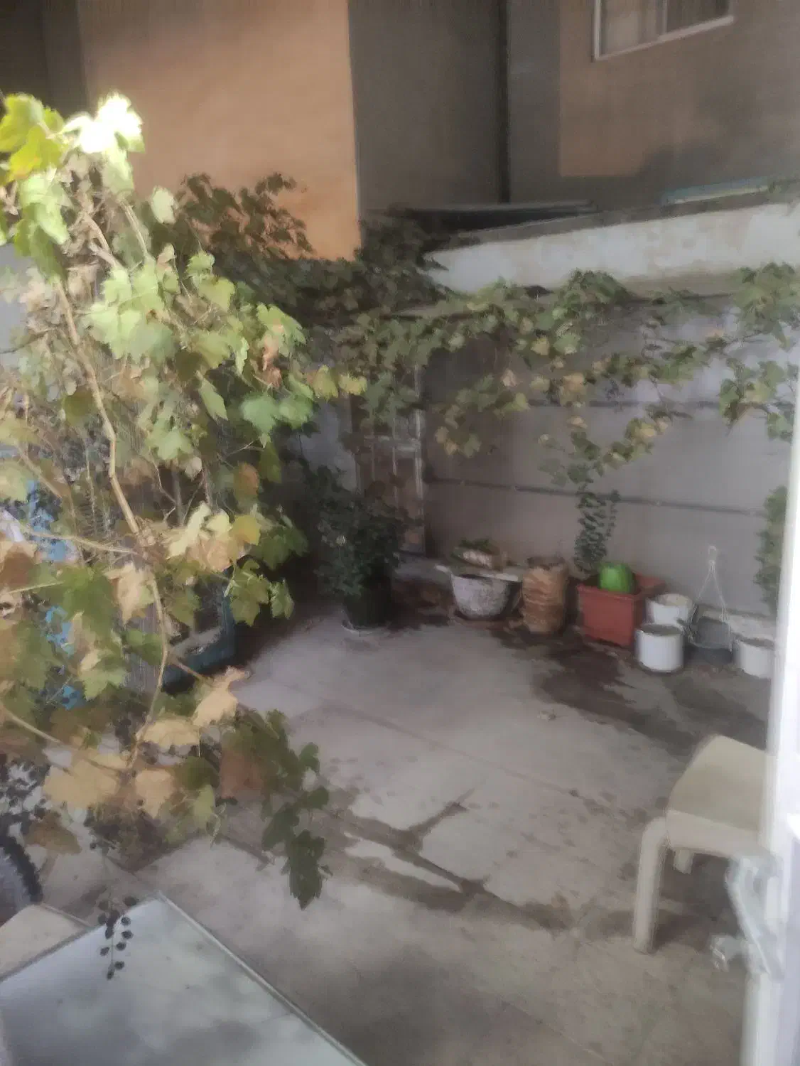 اجازه اپارتمان ۸۰ متری حیاط دار فلکه سوم