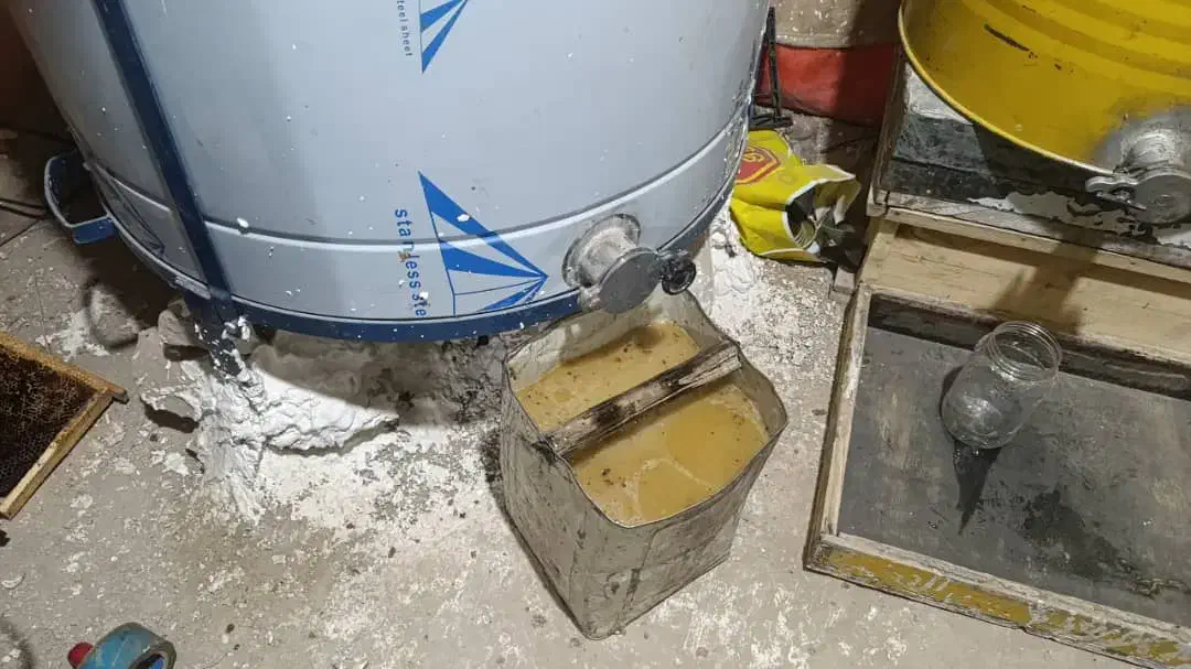 فروش عسل کُنار وگَوَن ارگانیک به صورت عمده و خرده|خوردنی و آشامیدنی|خفر, |دیوار