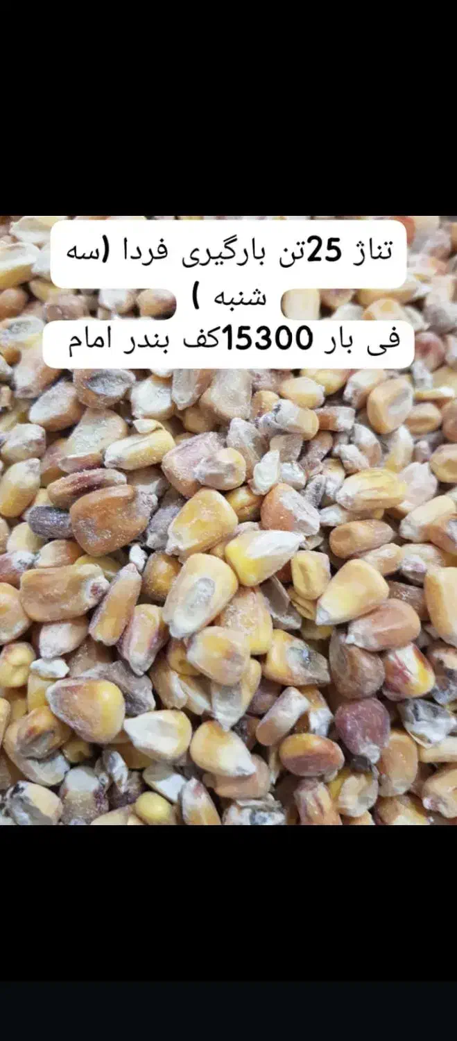 ذرت درجه 2|عمده‌فروشی|اهواز, آریاشهر|دیوار