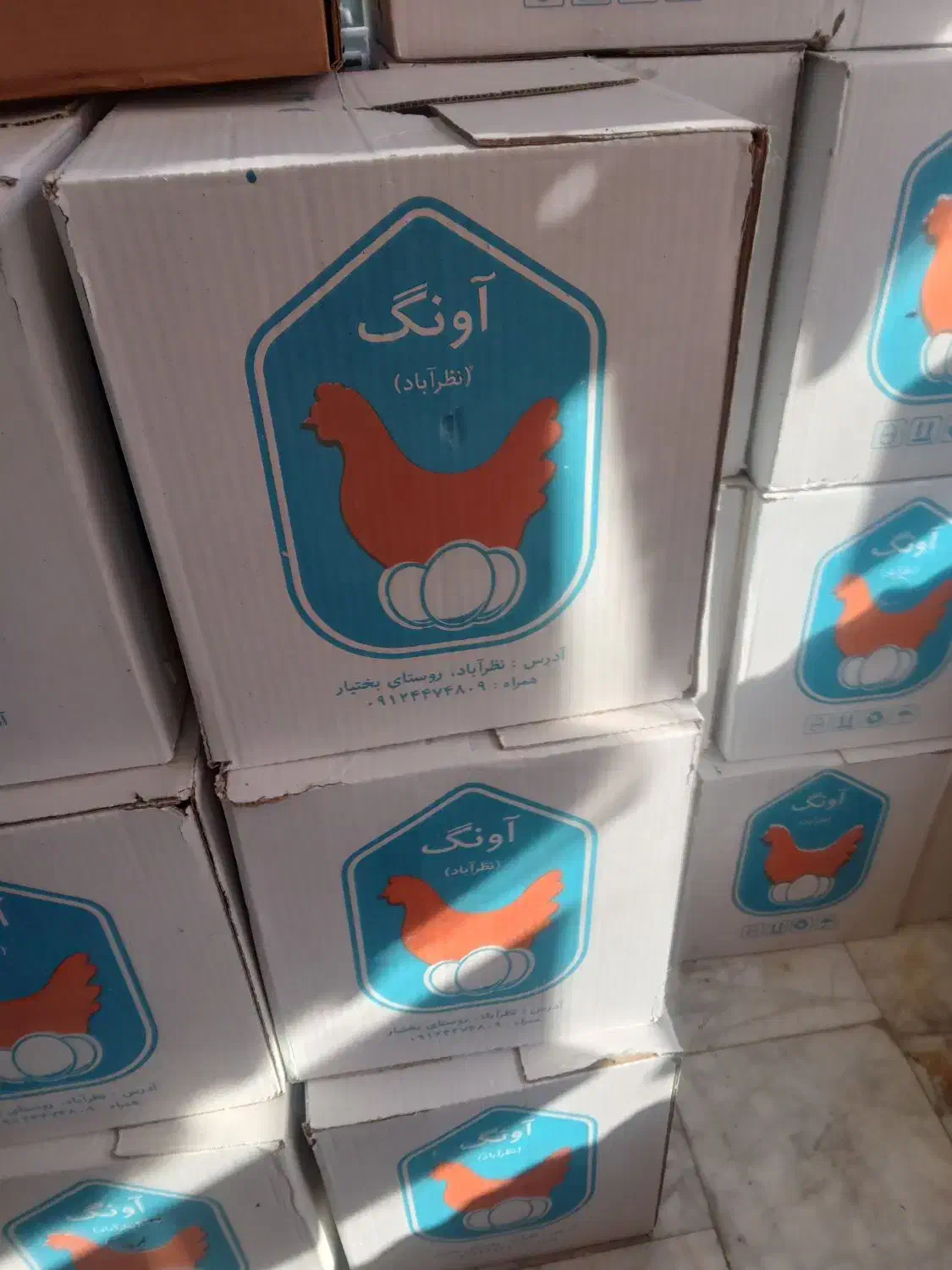 تخم مرغ|خوردنی و آشامیدنی|نسیم‌شهر, |دیوار