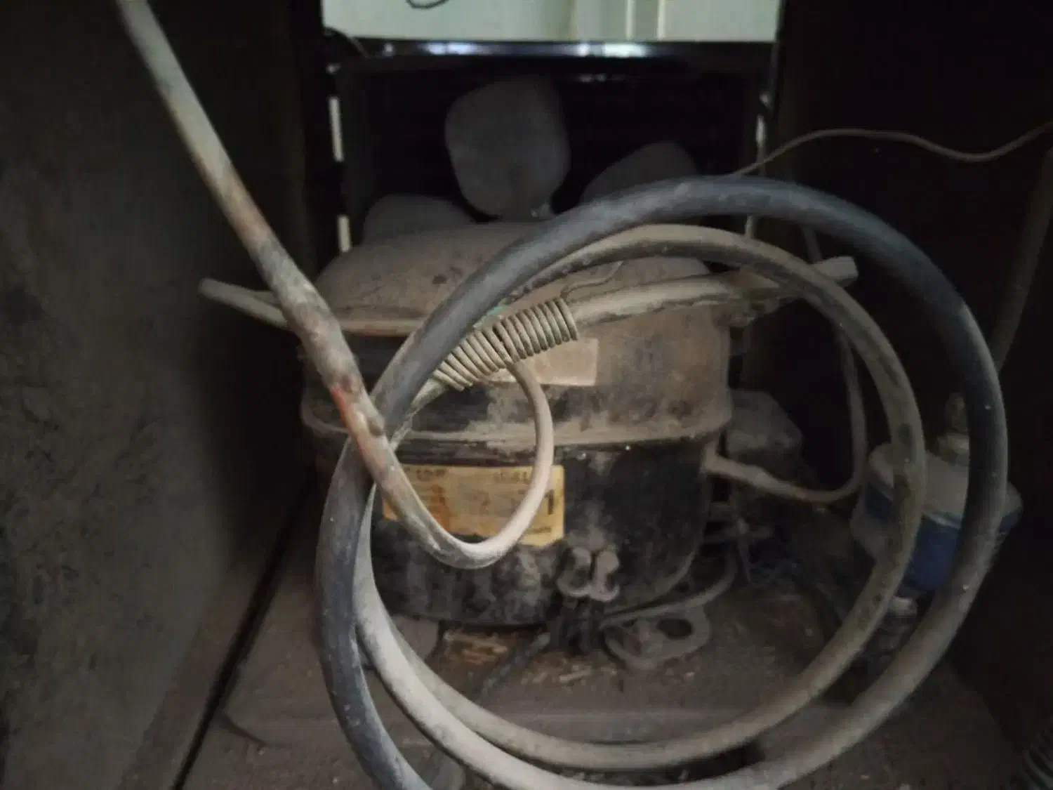 فریزر صندوقی|فروشگاه و مغازه|کرمان, |دیوار