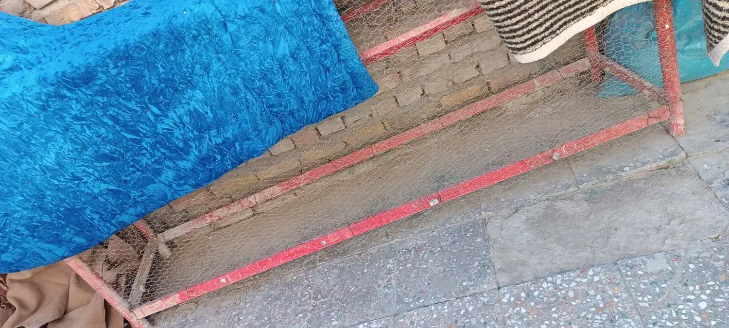 قفس|لوازم جانبی حیوانات|سراوان, |دیوار