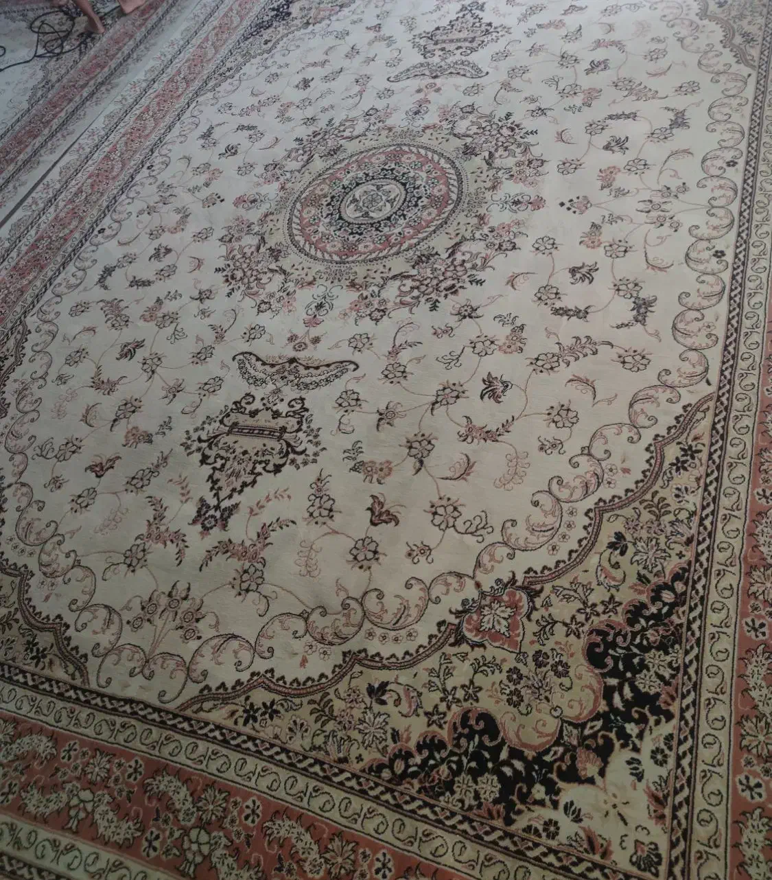 فرش ۱۲ متری|فرش|آستارا, |دیوار