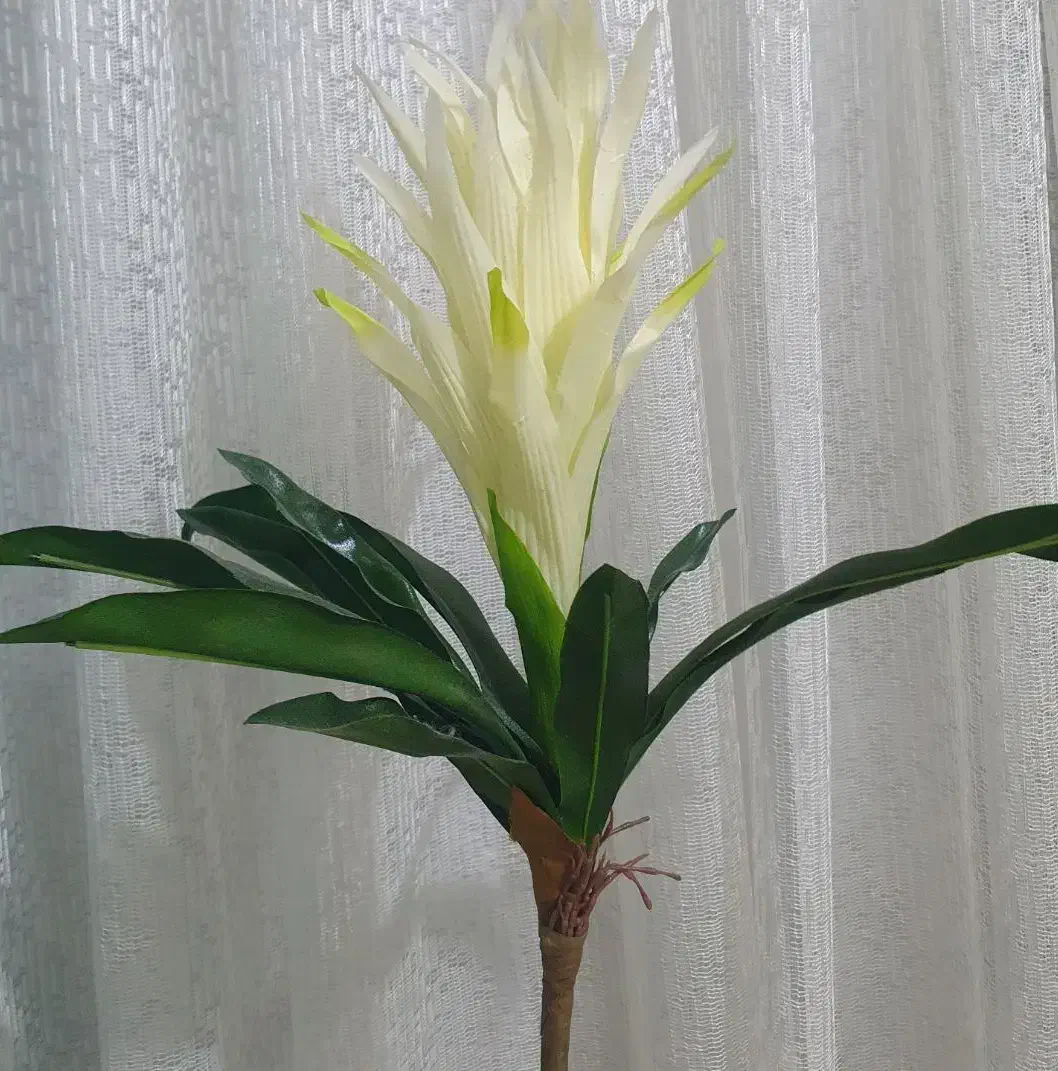 گل مصنوعی|گل مصنوعی|گرگان, |دیوار