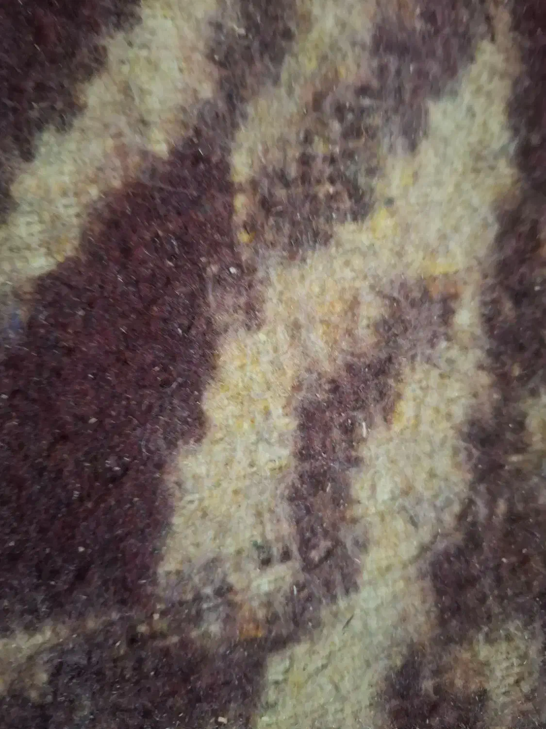 برگه سبز گم شده بنام مرتضی کمالی|اشیا|قم, میرزائیه|دیوار