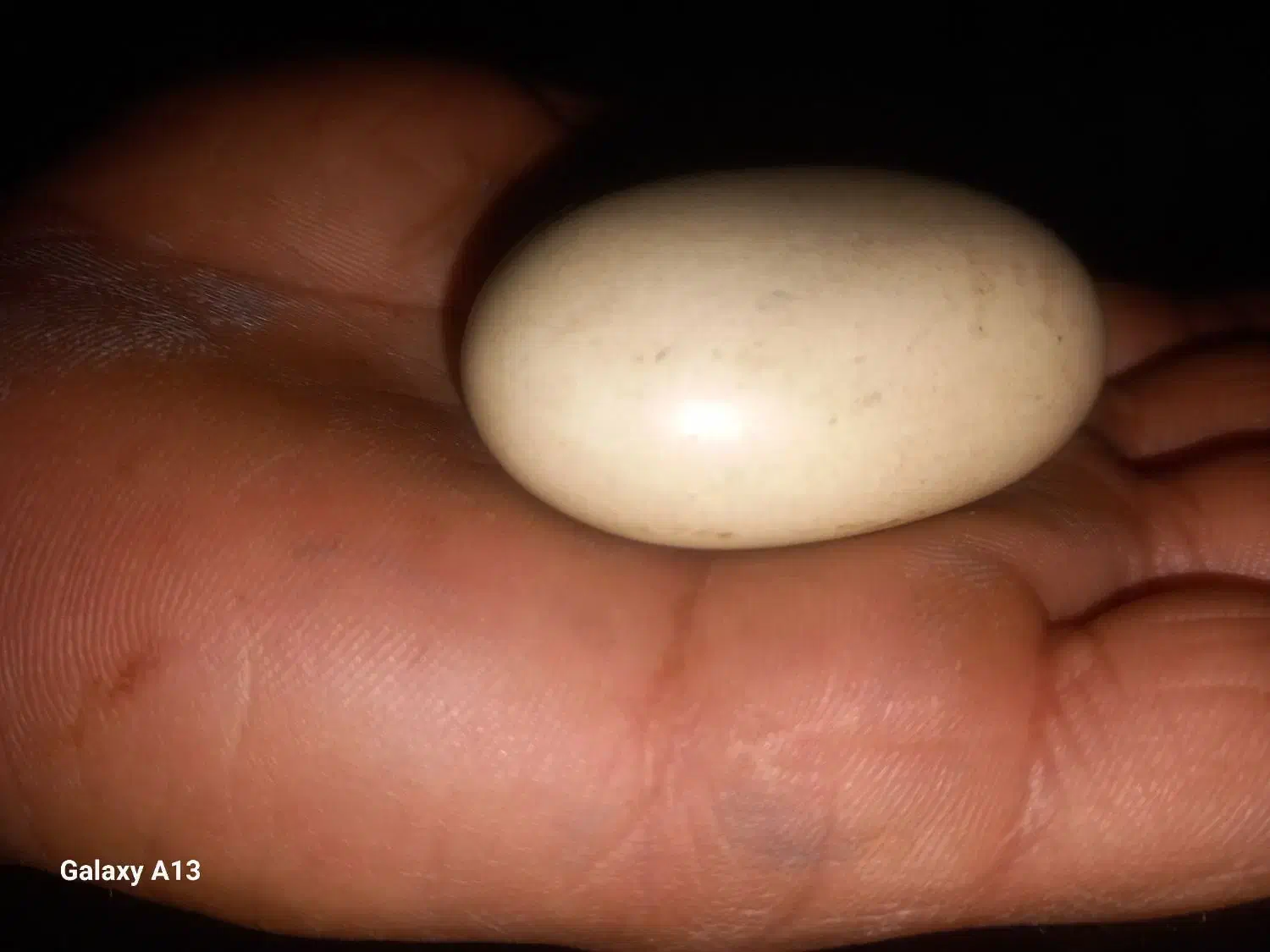 سنگ|کلکسیون اشیاء عتیقه|کرج, کوی امامیه|دیوار