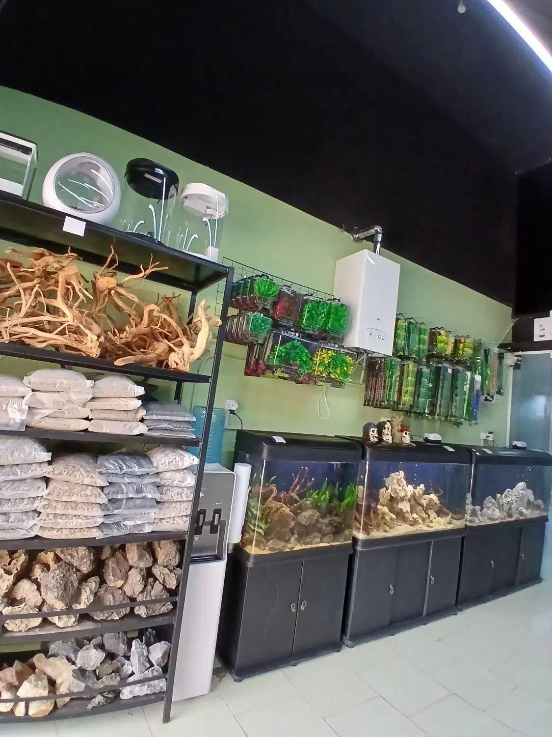 ماهی آکواریوم و لوازم|ماهی|صدرا-فارس, فاز ۱|دیوار