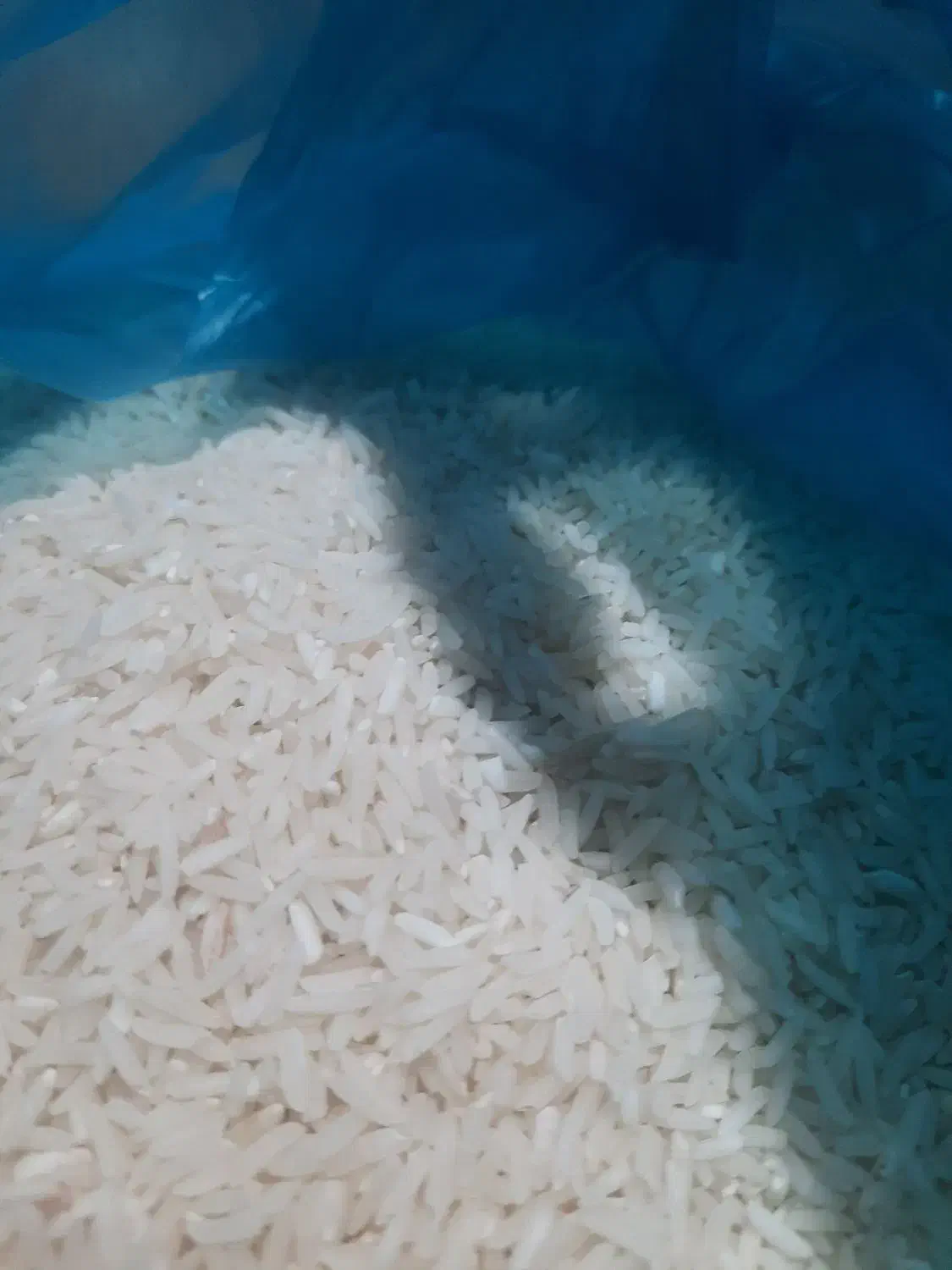 برنج|خوردنی و آشامیدنی|نگین شهر, |دیوار