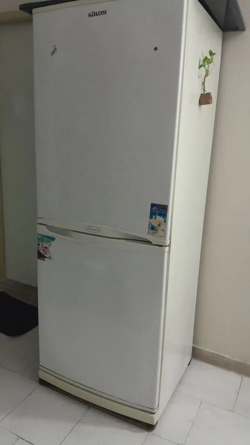 یخچال دودرب|یخچال و فریزر|فردیس, قریشی|دیوار