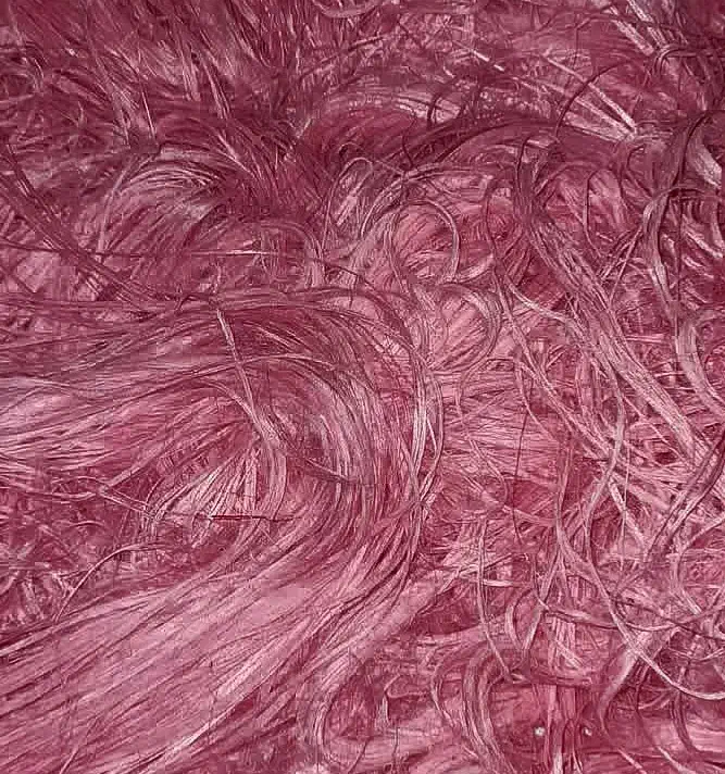 پشمک|خوردنی و آشامیدنی|هریس, |دیوار