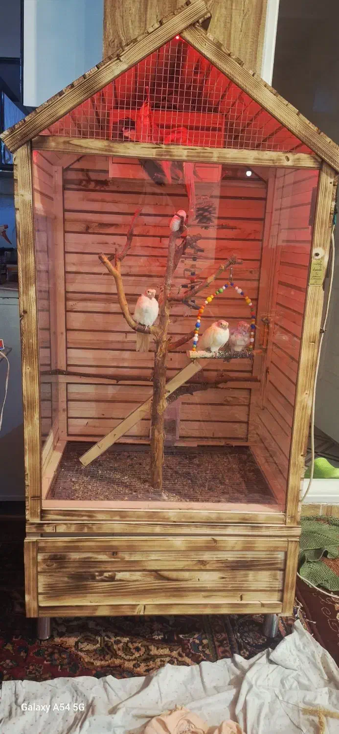 قفس چوبی پرنده|لوازم جانبی حیوانات|خوی, |دیوار