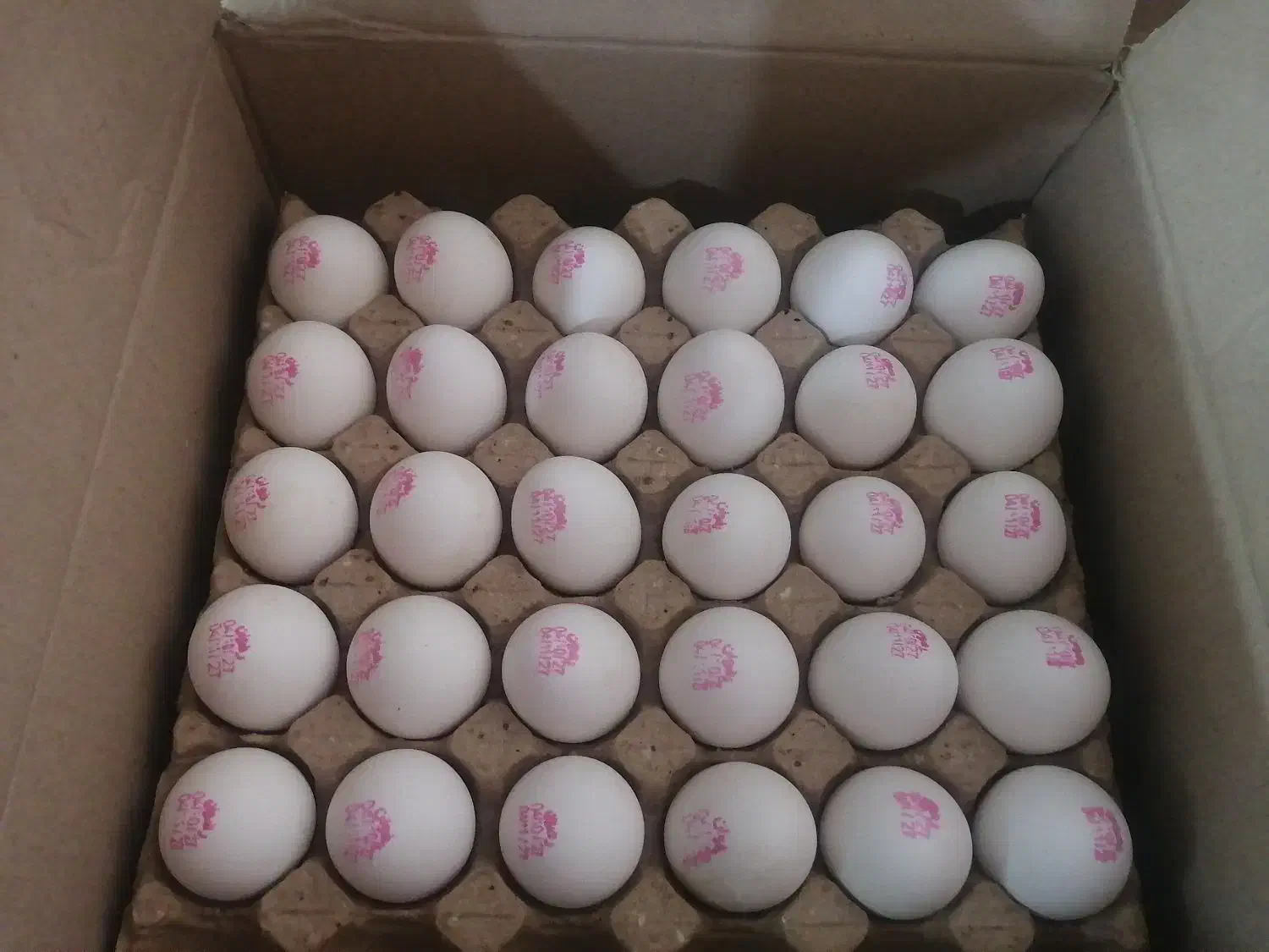 تخم مرغ|خوردنی و آشامیدنی|مشهد, نیروی هوایی|دیوار