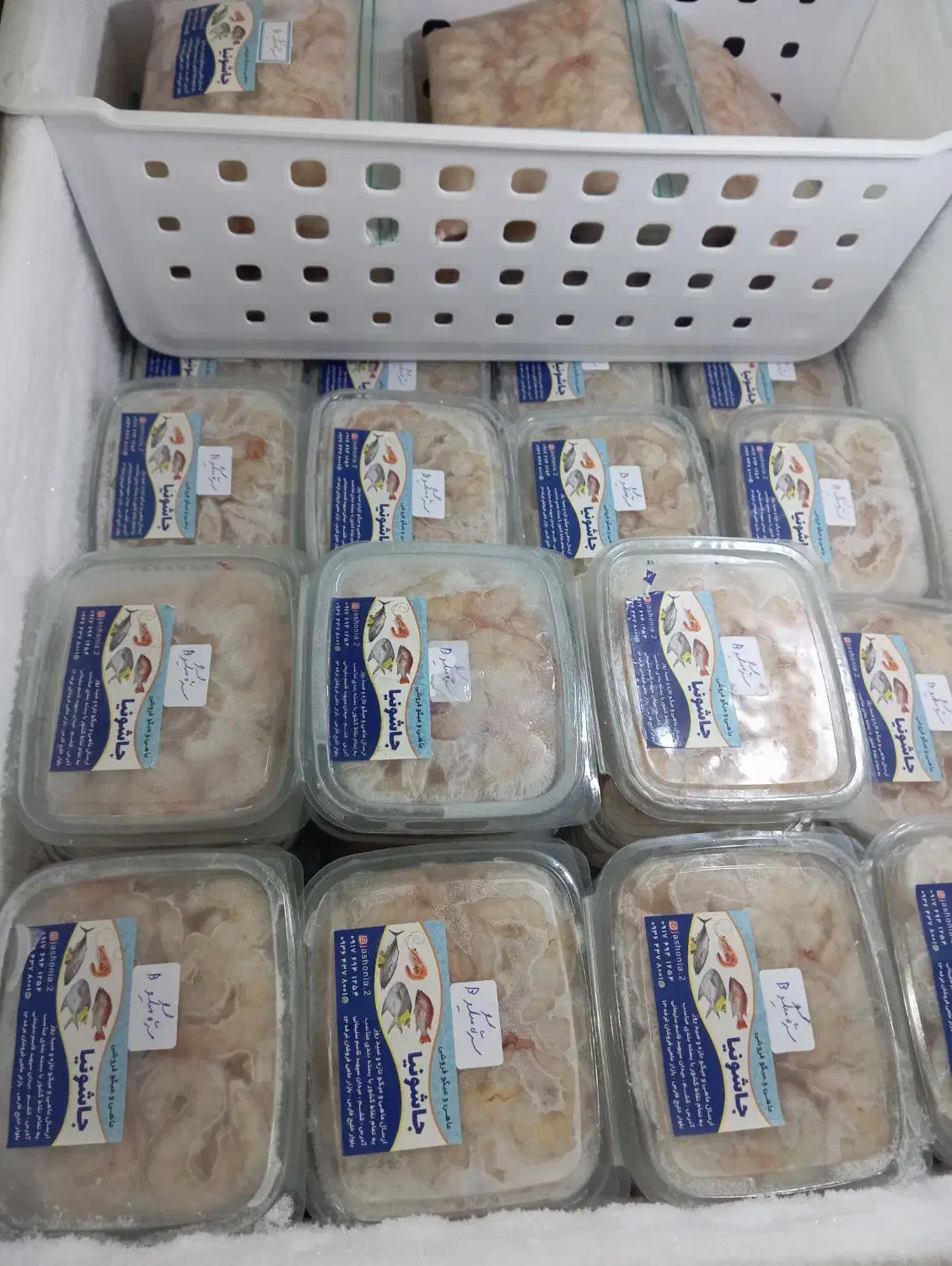 ماهی ومیگو|ماهی|قشم, |دیوار