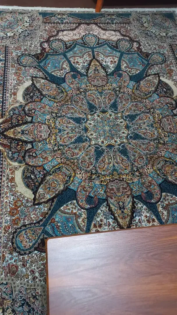 فرش ۶ متری در حدنو|فرش|رشت, جانبازان|دیوار