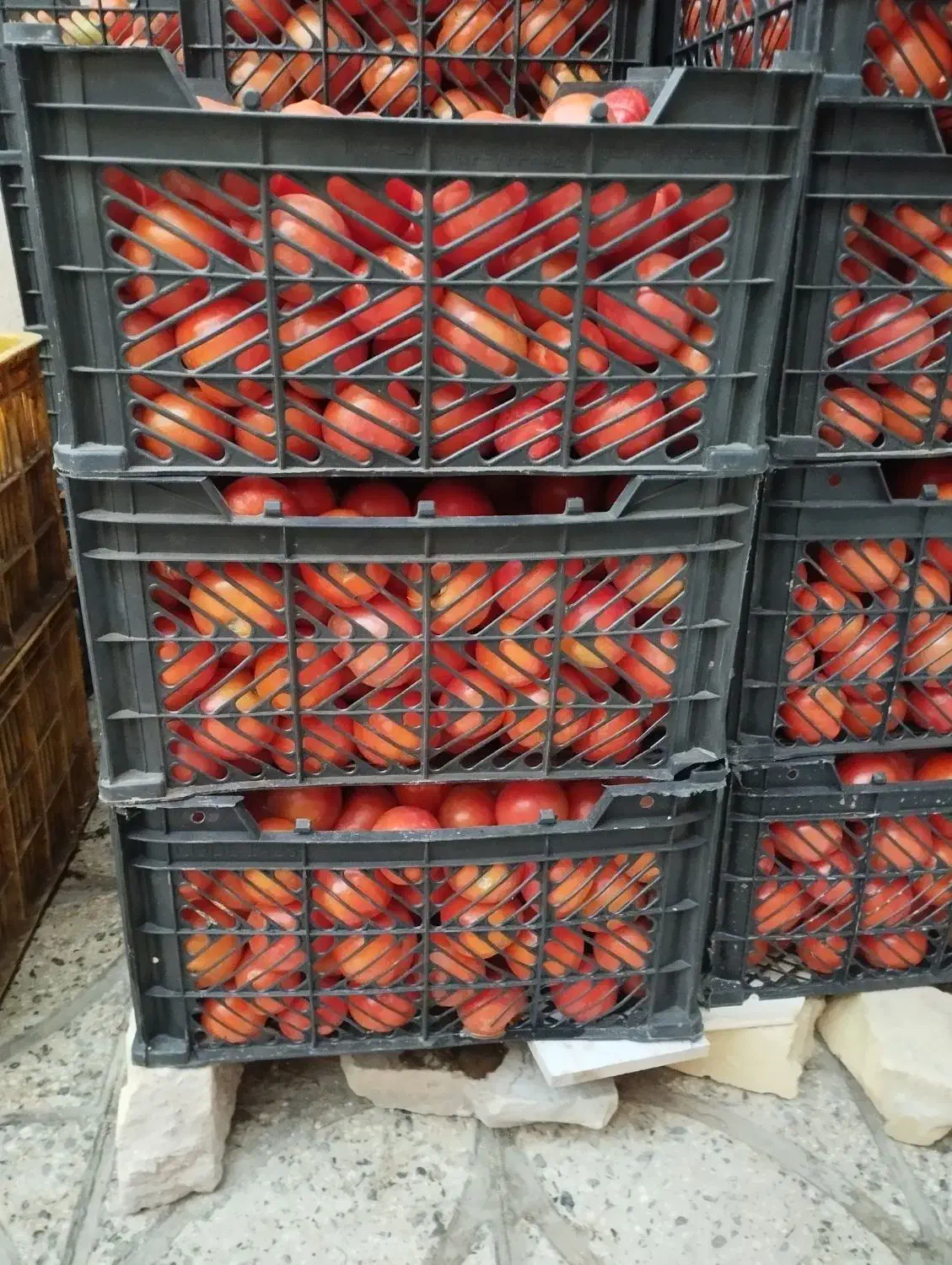 گوجه فرنگی درجه یک|خوردنی و آشامیدنی|تاکستان, |دیوار