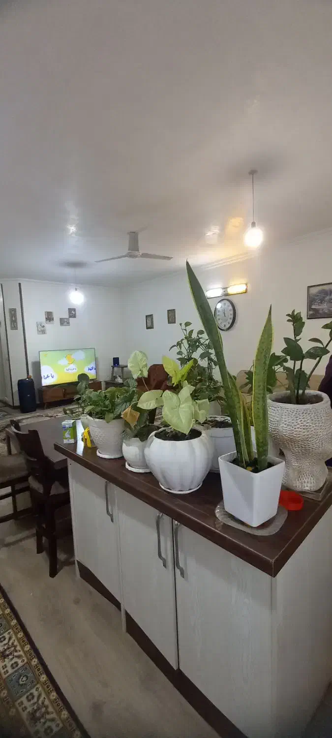 فروش خونه ویلایی ۱۱۰متری گلباران|فروش خانه و ویلا|گرگان, |دیوار