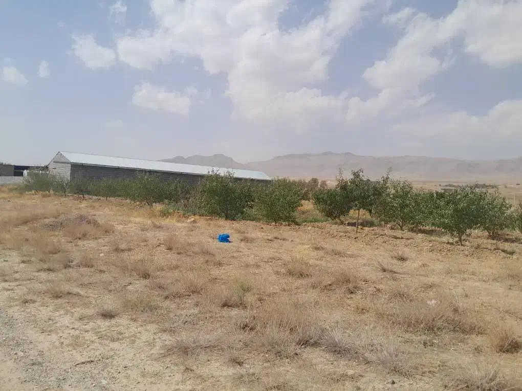 دامداری حدود 3000 متر در قوشجی|فروش دفتر صنعتی، کشاورزی، تجاری|انزل, |دیوار