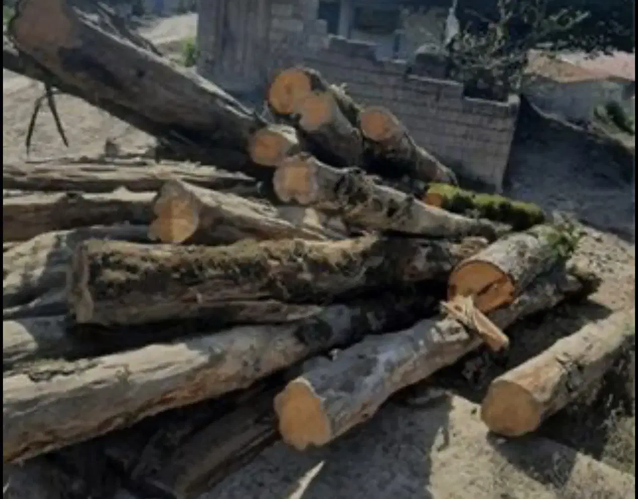 استخدام کارگر افغانی با غذا و جای خواب|استخدام معماری، عمران و ساختمانی|تنکابن, |دیوار