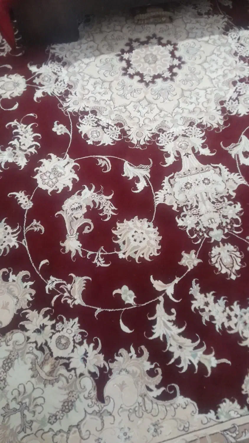 دو عدد فرش دوازده متری|فرش|شوشتر, |دیوار