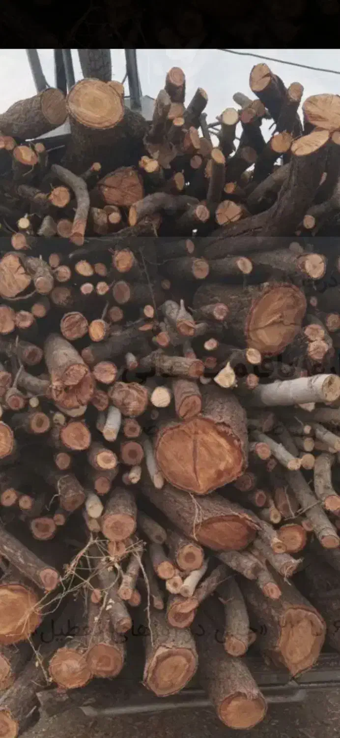 باسلام خرید انواع چوب باغی به بهترین قیمت|خدمات باغبانی و درختکاری|فلاورجان, |دیوار