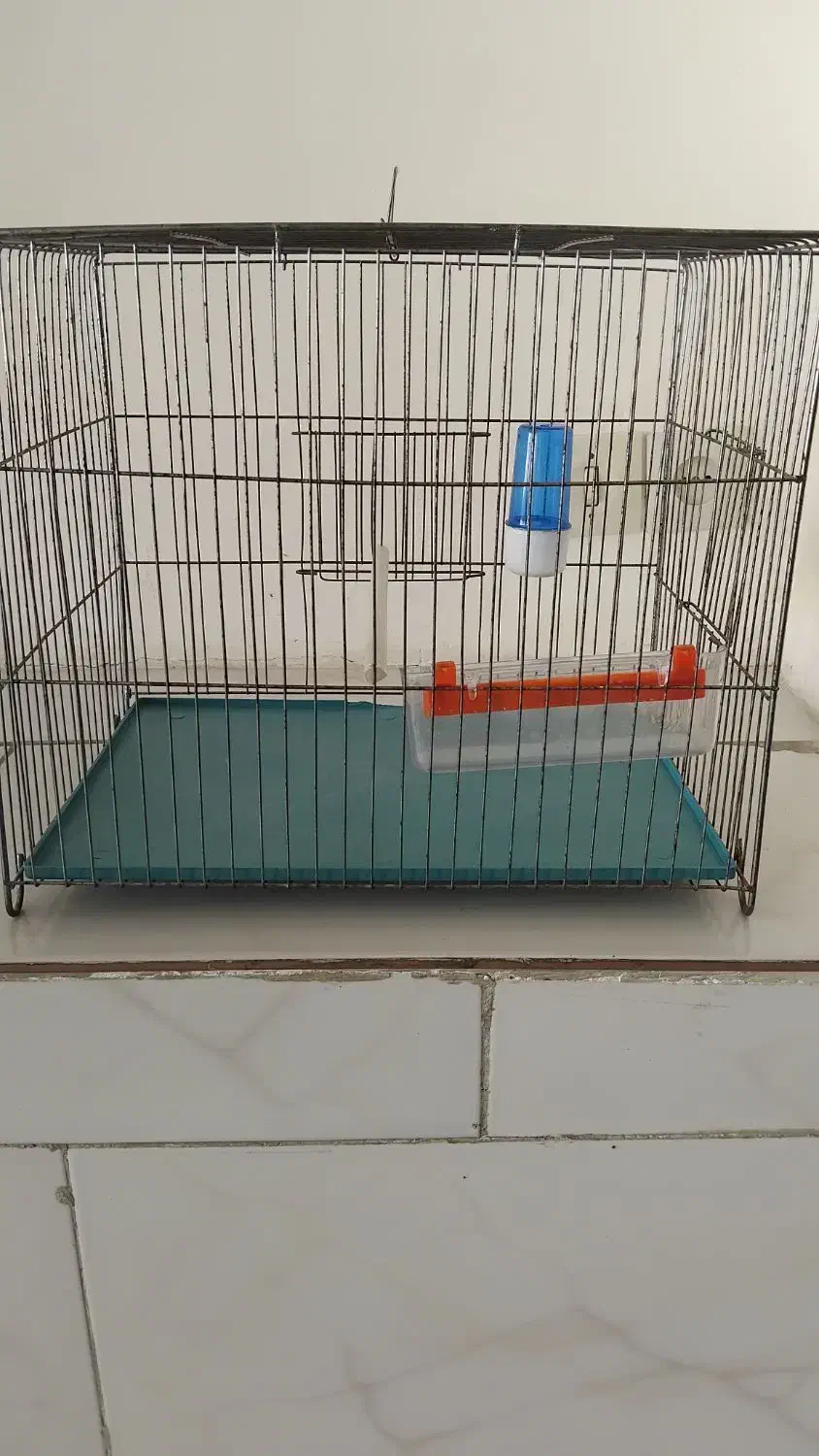 قفس|لوازم جانبی حیوانات|زنجان, |دیوار