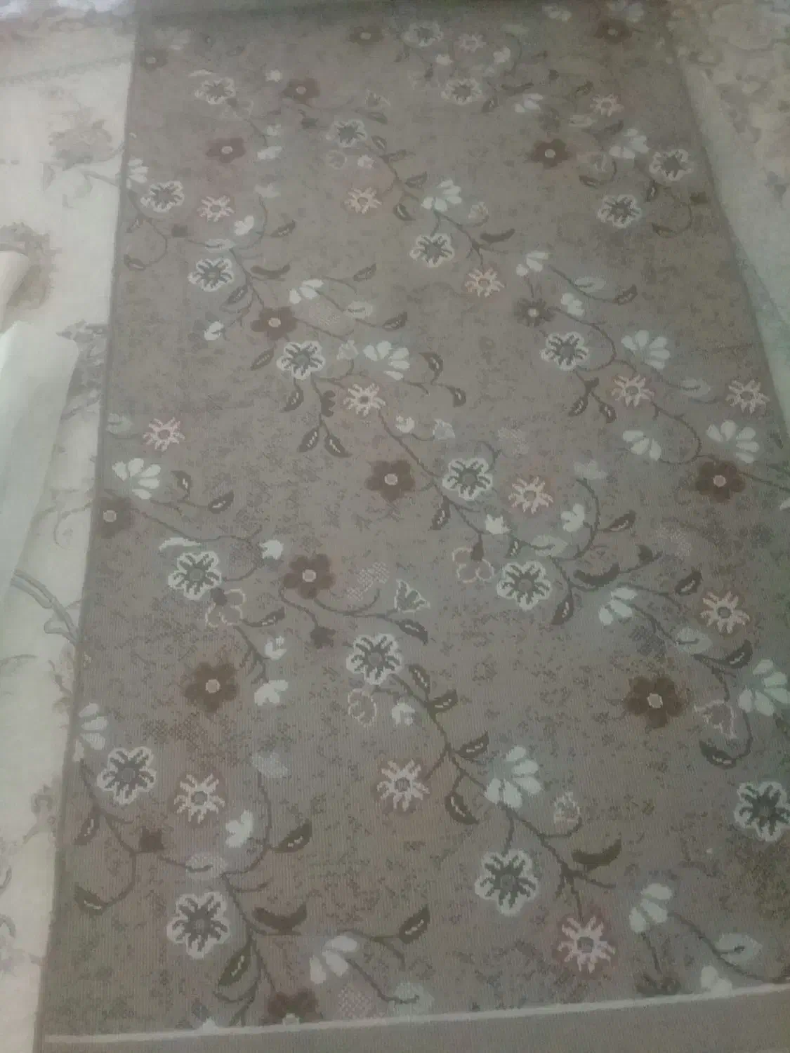 پرده و فرش|فرش|بیرجند, |دیوار