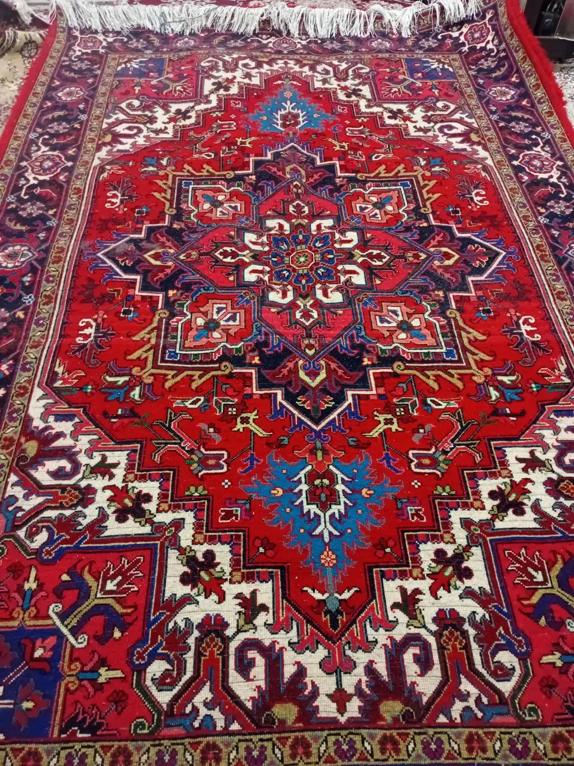 یک جفت فرش دستباف هریس تاجری ۶ متر|فرش|تبریز, |دیوار