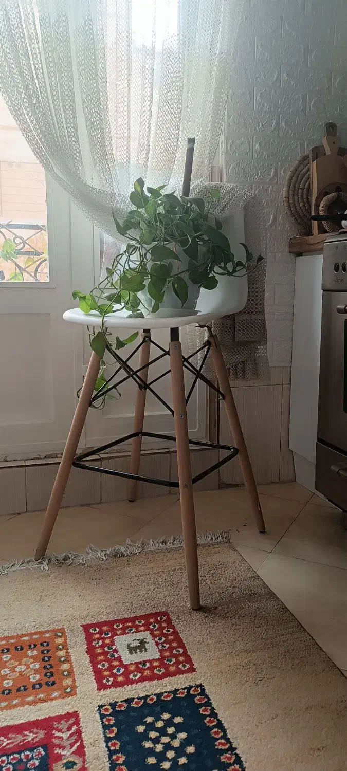 یک جفت صندلی کانتر نو نو|میز و صندلی غذاخوری|تهران, دهقان|دیوار