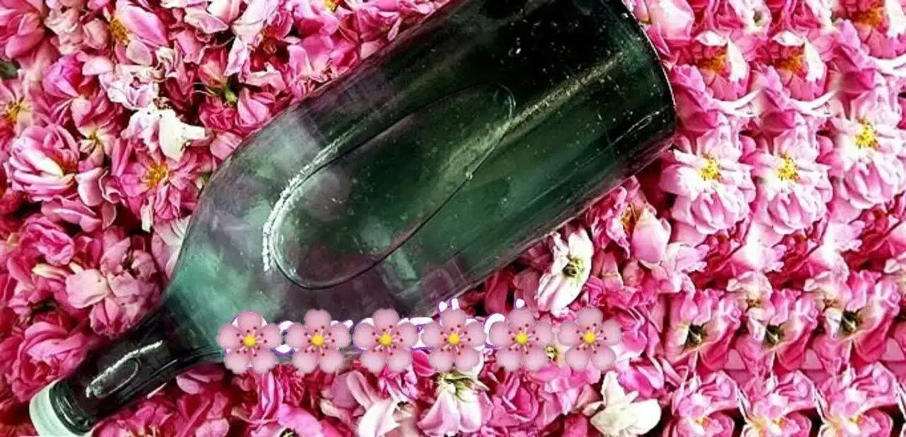 گردهمایی ویژه بانوان (گیاهان)|آرایشی، بهداشتی، درمانی|شیراز, قدوسی غربی|دیوار