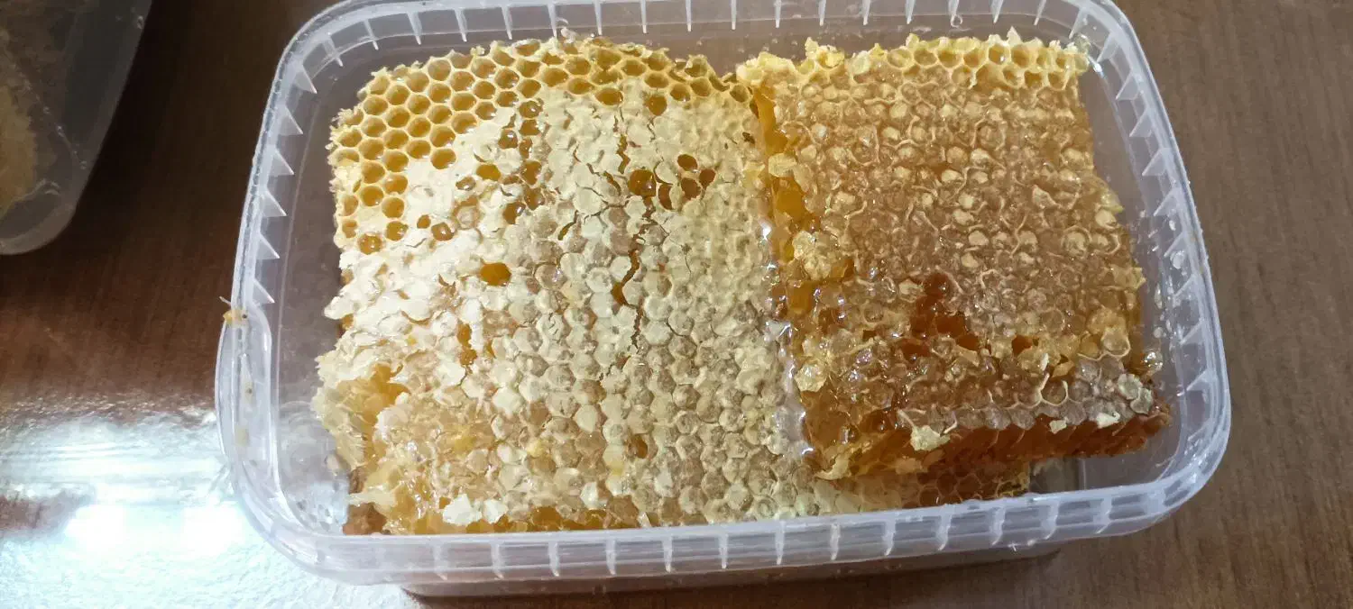 عرضه عسل درمانی کوهستانی|خوردنی و آشامیدنی|مرند, |دیوار