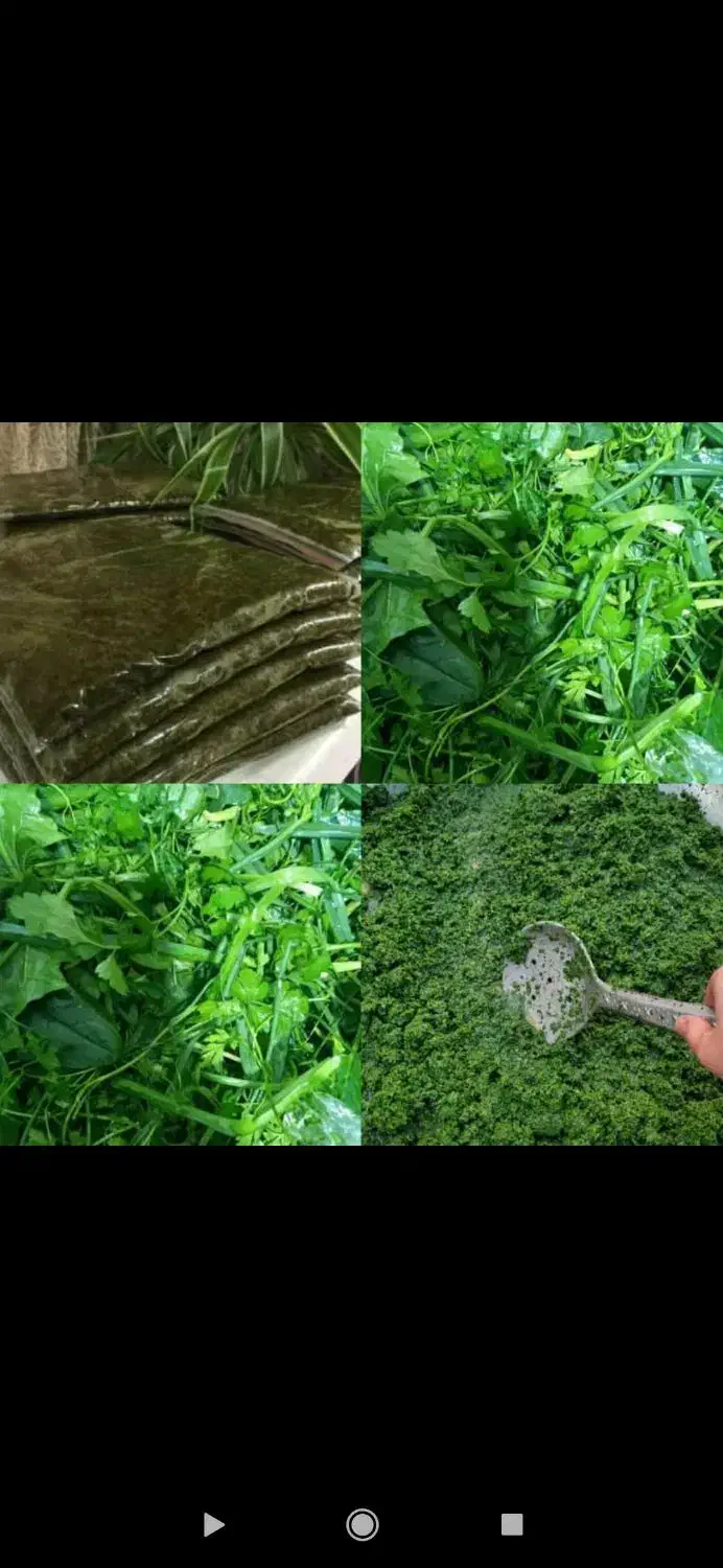 خوراکی|خوردنی و آشامیدنی|اصفهان, تخت فولاد|دیوار