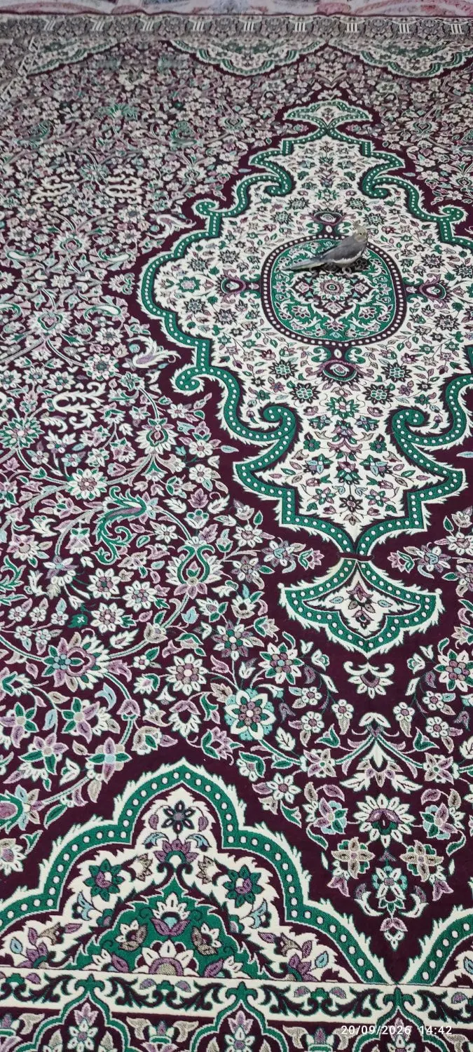 روفرشی ۱۲ متری|روفرشی|مشهد, نظام دوست|دیوار