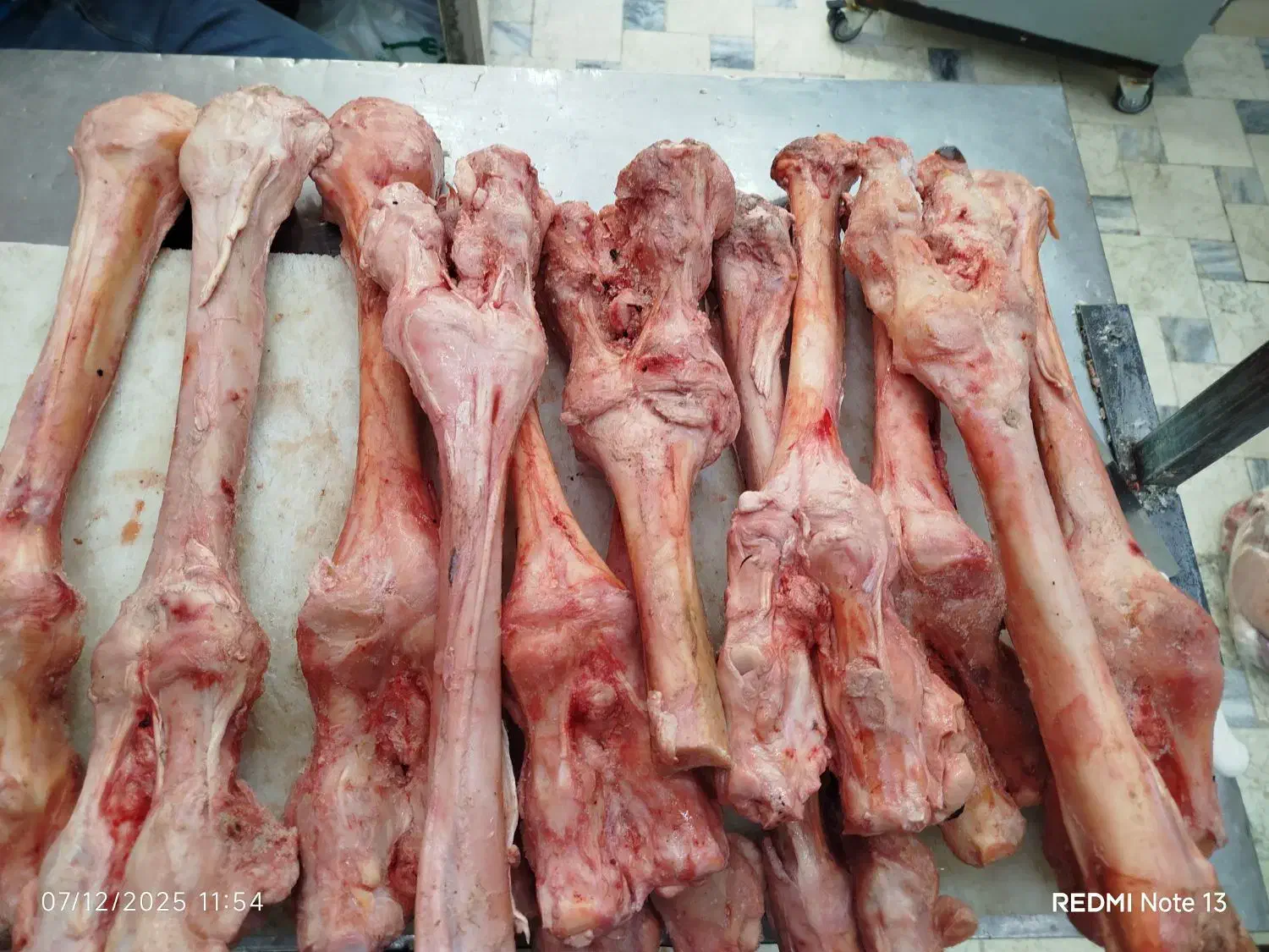 پاچه شتر کوهان شتر شحله دنبه بره|خوردنی و آشامیدنی|مشهد, گاز|دیوار