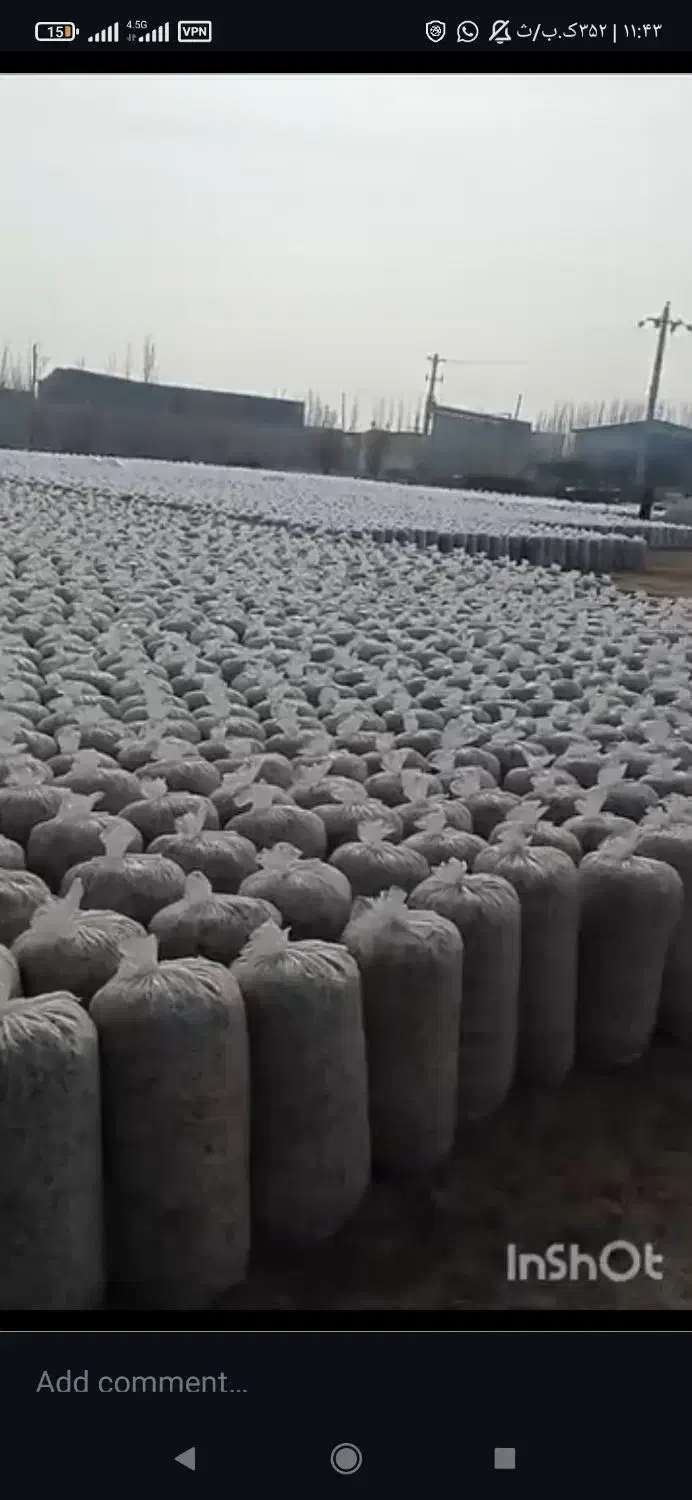 تفاله ی چغندر میاندوآب پر ملاس و شیرین|عمده‌فروشی|میاندوآب, |دیوار