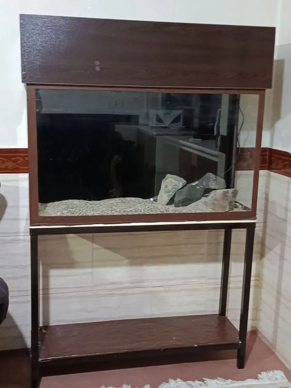 اکواریوم|ماهی|کرج, شهرک رضوانیه|دیوار