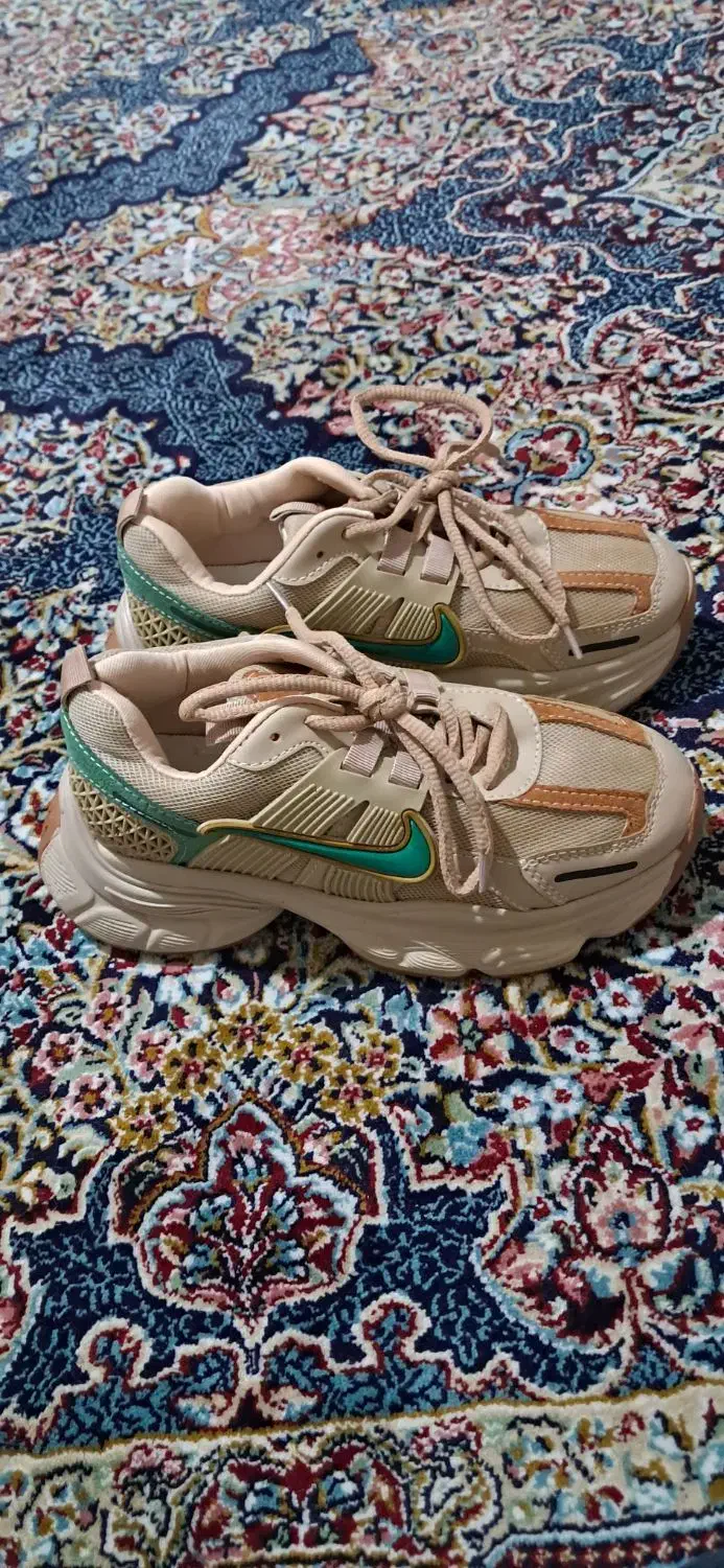 یک جفت کفش|کیف، کفش، کمربند|جیرفت, |دیوار