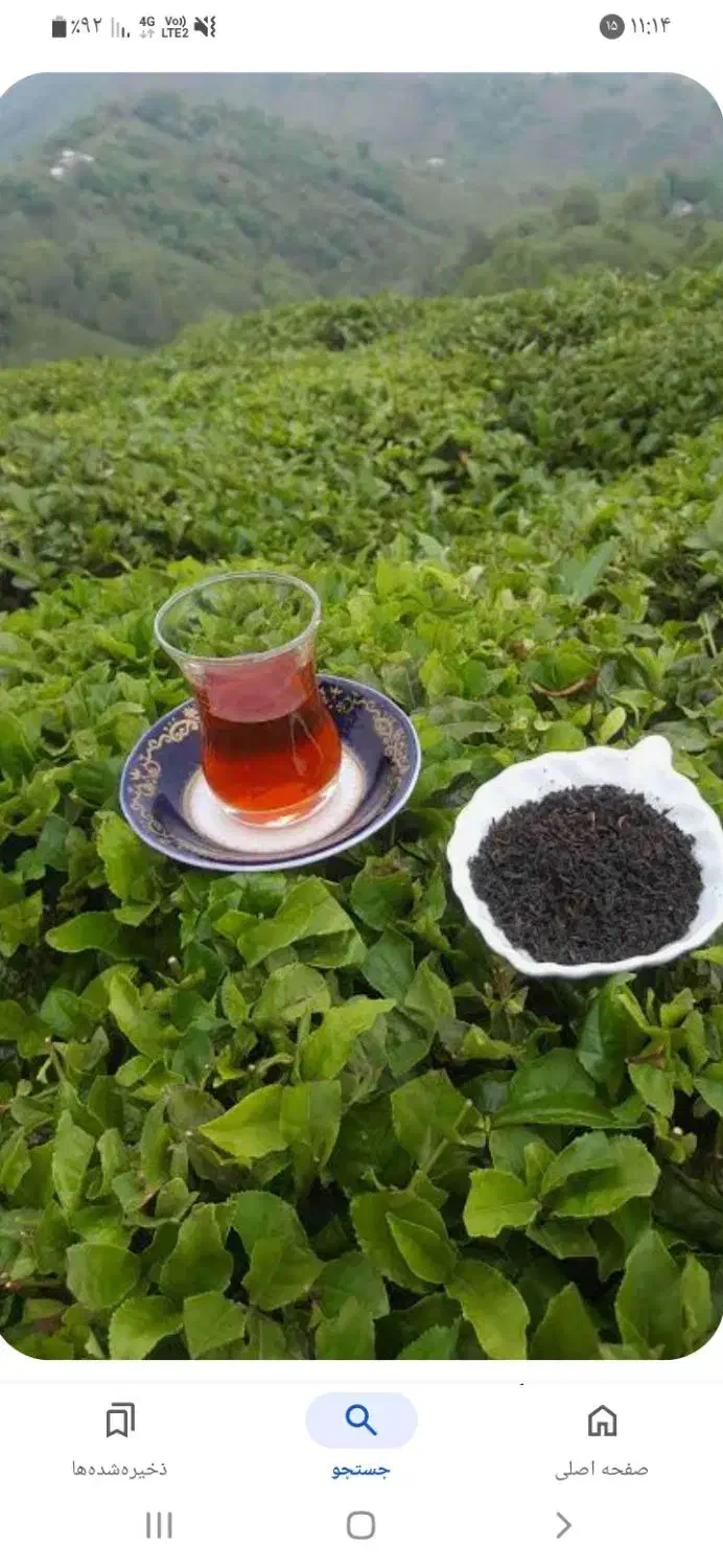 چای بهاره (قلم وممتازوشکسته)|خوردنی و آشامیدنی|ضیاء آباد, |دیوار