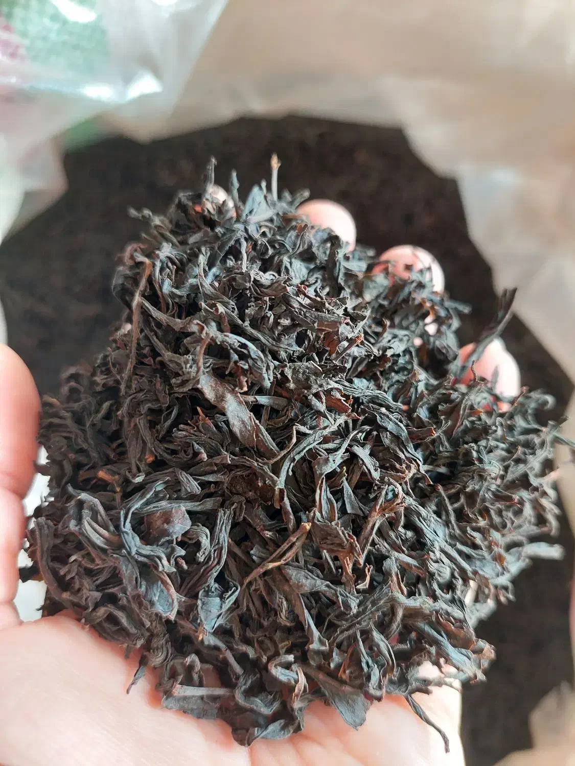 چای شاهپسند لاهیجان|عمده‌فروشی|لاهیجان, کوی آزادگان|دیوار