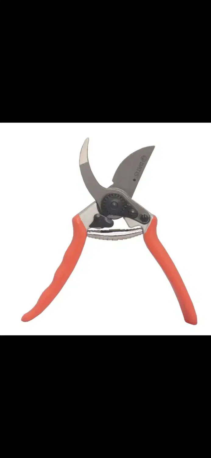 قیچی باغبانی داتیس|ابزارآلات|ساری, |دیوار