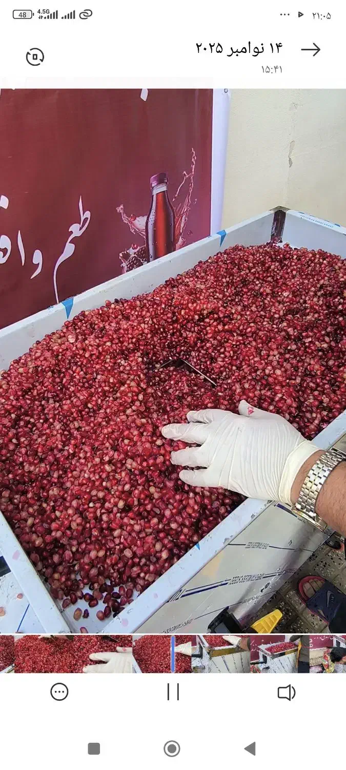 آب انار تازه از باغ . طبیعی  فقط لیتری ۱۰۰هزار|خوردنی و آشامیدنی|گرگان, |دیوار